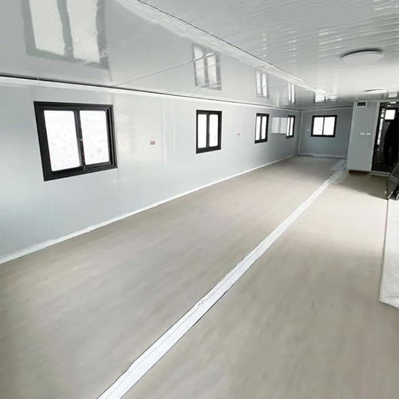 20FT Φαρμακευτική συσκευή Φαρμακευτική συσκευή Φαρμακευτική συσκευή